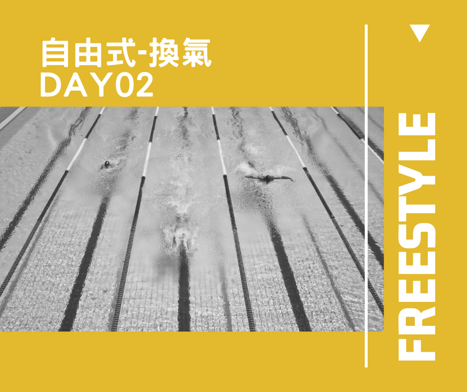 自由式 DAY02